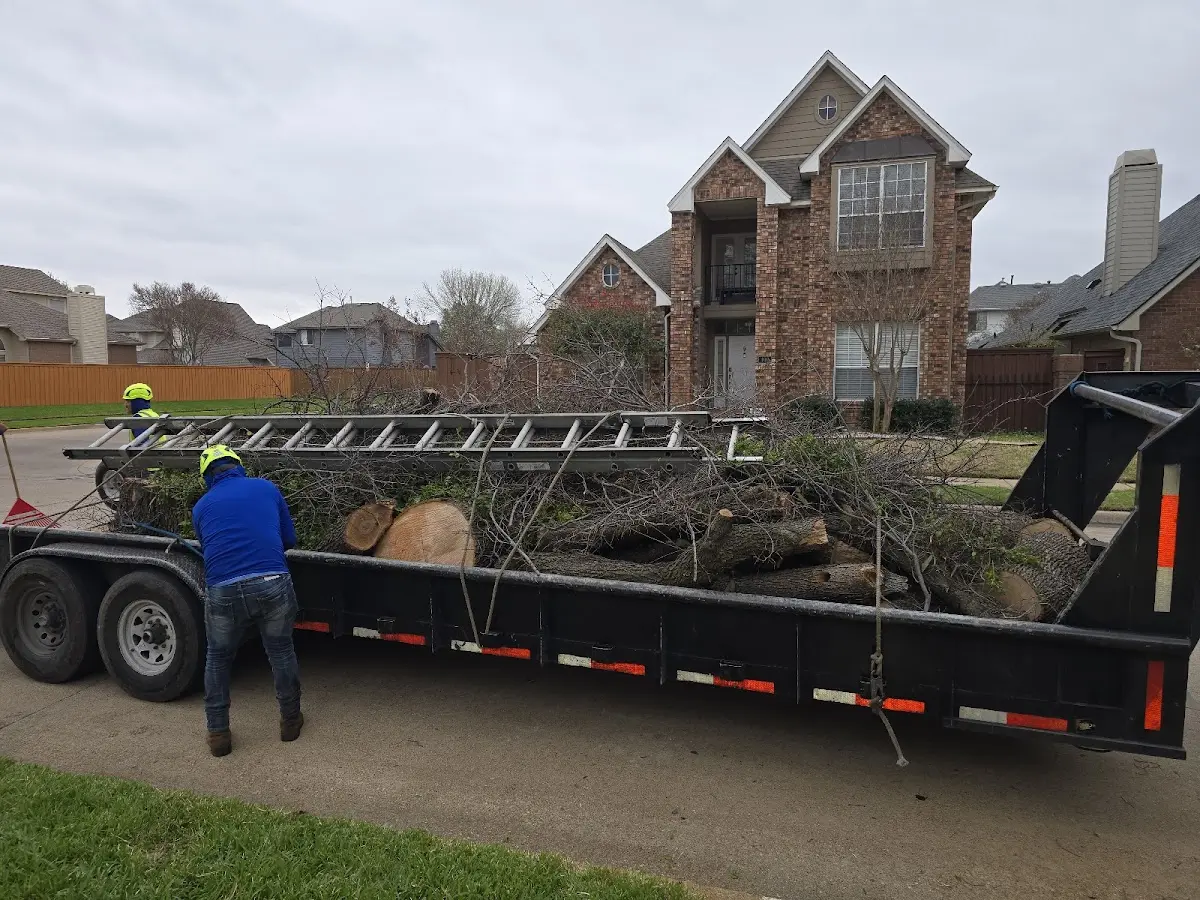 Expert Tree Fertilization with proper safety equipment in Mohall